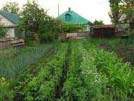 Июль - макушка лета